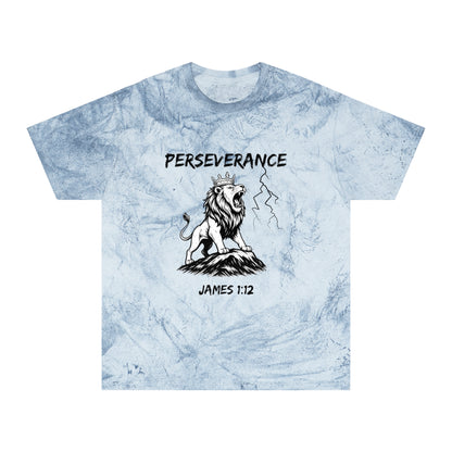 Perseverance Color Blast T-Shirt