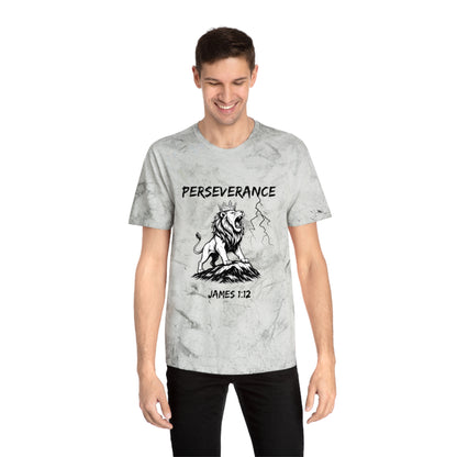 Perseverance Color Blast T-Shirt