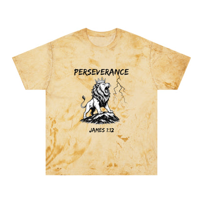 Perseverance Color Blast T-Shirt