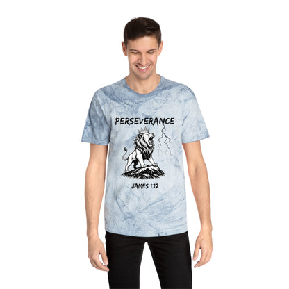 Perseverance Color Blast T-Shirt