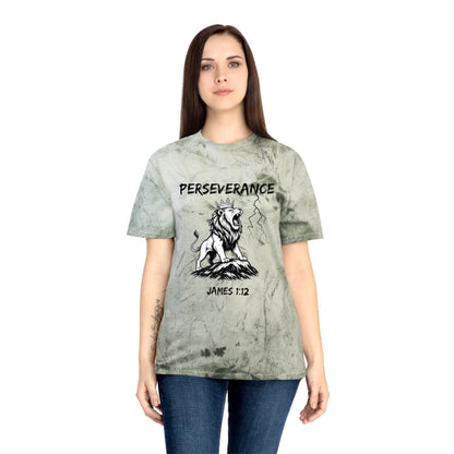 Perseverance Color Blast T-Shirt