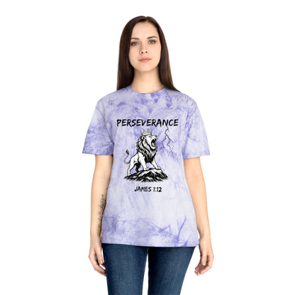 Perseverance Color Blast T-Shirt