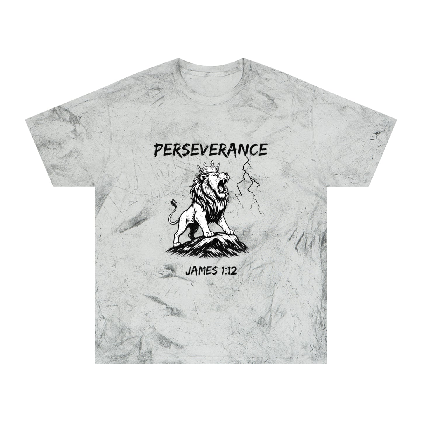 Perseverance Color Blast T-Shirt