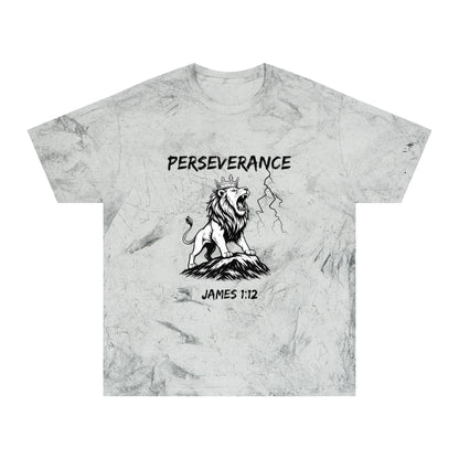 Perseverance Color Blast T-Shirt