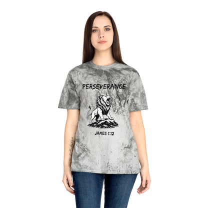 Perseverance Color Blast T-Shirt
